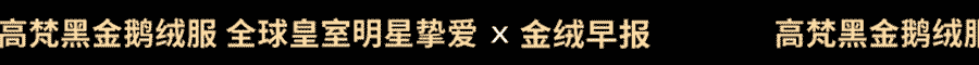 鹅绒收获季节羽绒企业以内销为主AG真人金绒早报 裕安区迎白(图11)