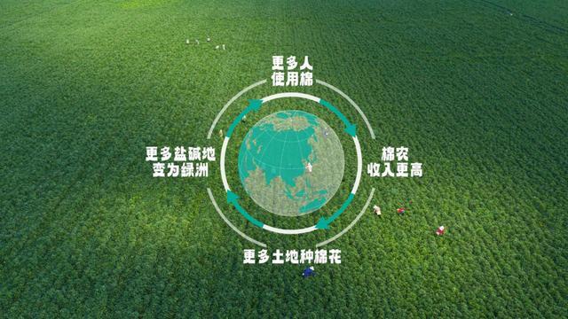 Goose加拿大鹅“共话青皑”沉浸式体验之旅 于成都开启传承、文化与自然的对话AG真人时尚WEEKLY｜一朵棉花改变世界 全棉时代溯源纪录片上线Canada(图2)